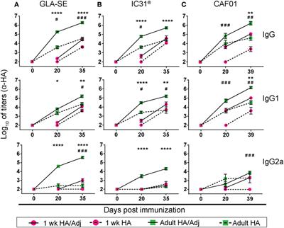 Overcoming the Neonatal Limitations of Inducing Germinal Centers through Liposome-Based Adjuvants Including C-Type Lectin Agonists Trehalose Dibehenate or Curdlan